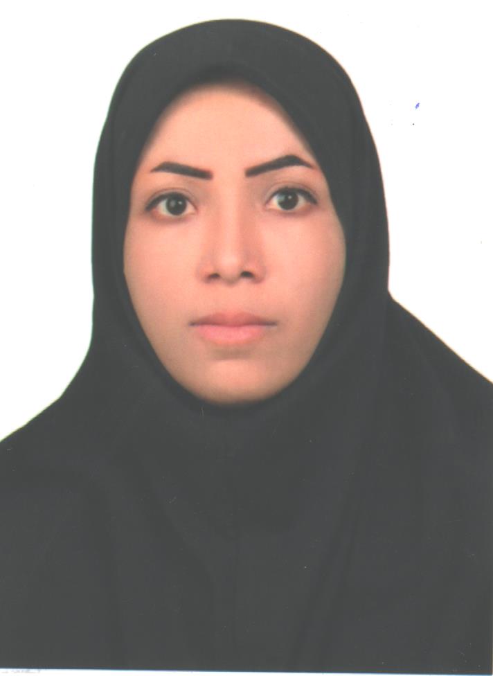 نمایندگی بمپور - گزینه دو