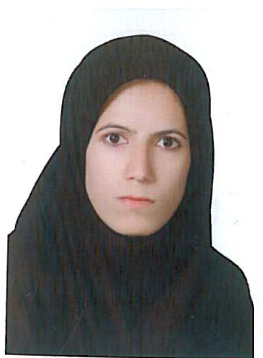 نمایندگی فیروزآباد - آموزشگاه علمی نشر