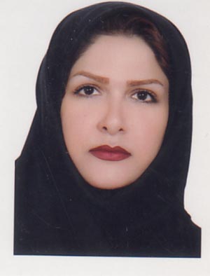 نمایندگی گچساران